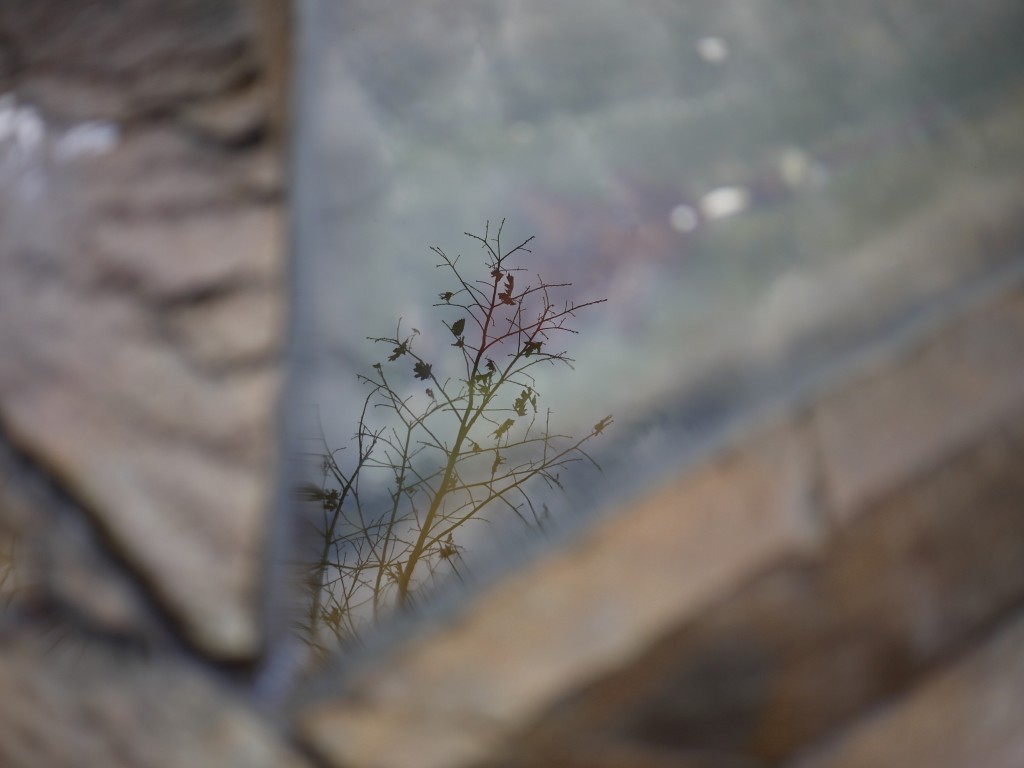 P1030477