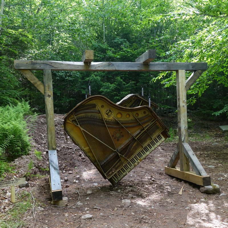 New Music For Trees