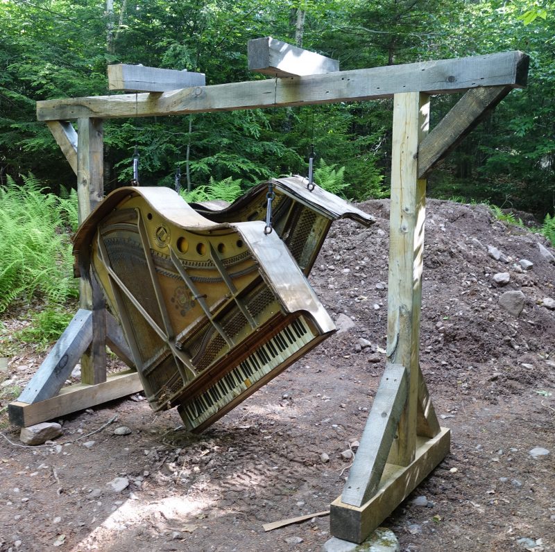 New Music For Trees